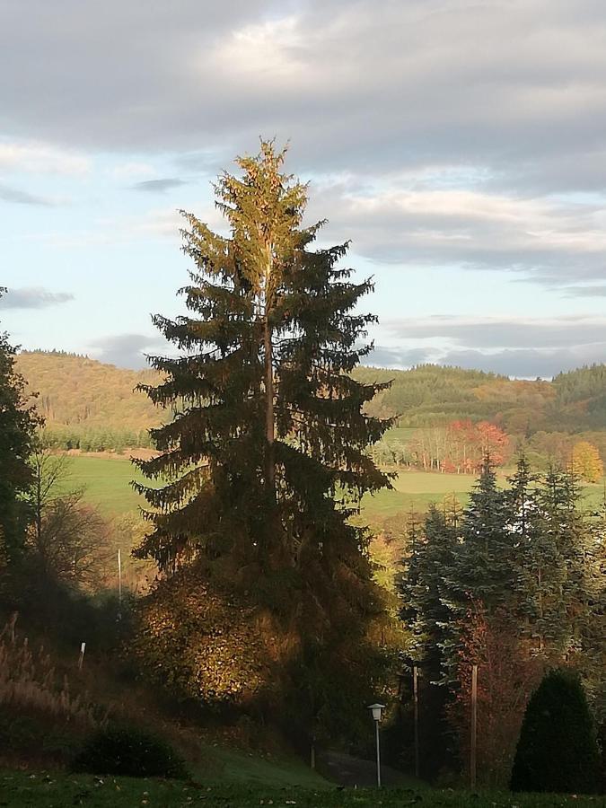 Ferienwohnung-In-Schoenster-Lage Baar  Kültér fotó